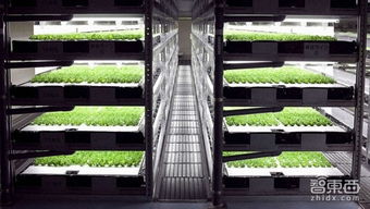 日本將建全機器人蔬菜種植工廠 農業(yè)自動化的未來圖景